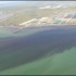 Red Tide Dead Fish Algae Blooms