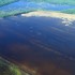 The opening of the Morganza spillway resulted almost immediately in the flooding of farmland located within the floodway. Flooding of farmland caked in fertilizer is a threat to the Gulf of Mexico because it could increase the size of the dead-zone.