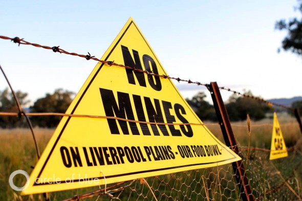 “No Mines” signs hang from fences throughout the Liverpool Plains. liverpool plains hunter valley australia coal mine mining farm energy agriculture