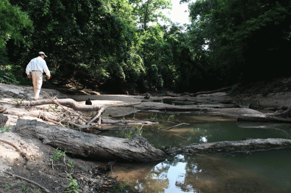 Swift Slough, one of the many sloughs that feed the ecologically important floodplain along the Apalachicola River, should be under a few feet of water.