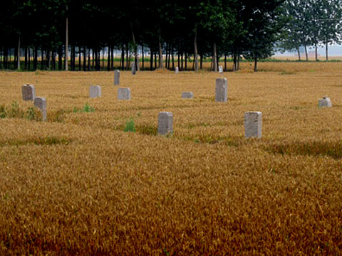 In Henan Province, every available square meter is planted, even the space between the headstones in a graveyard. henan province graveyard circle of blue keith schneider choke point china food energy water grain