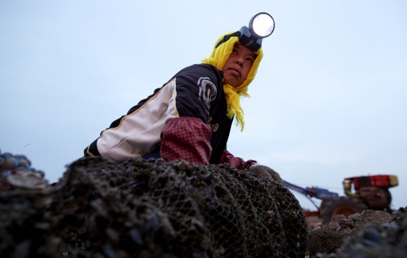 Click to enlarge. china fishing industry aquaculture fisherman fishermen