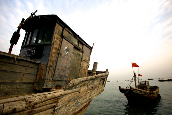 Click to enlarge. china aquaculture shandong aoshawei bay quindao dawn morning fishing boat