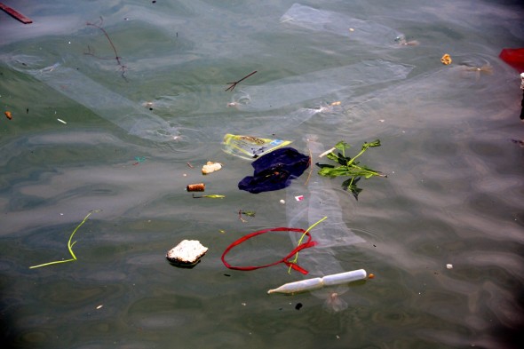Trash in the waters of Aoshawei Bay. china pollution aquaculture fishing shellfish qingdao shandong