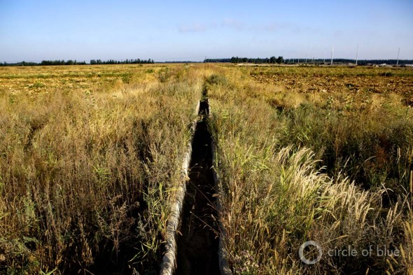Click to enlarge. China farm irrigation channel corn field Tongliao Inner Mongolia