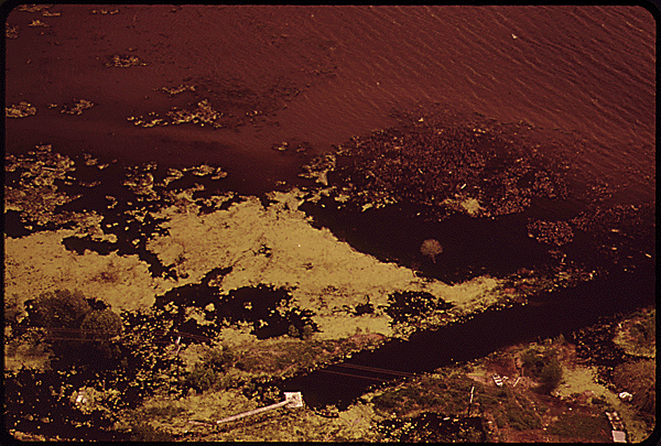Click to enlarge. Fox River, algae, Wisconsin, Clean Water Act, pollution, rivers, Project Documerica, EPA, Environmental Protection Agency