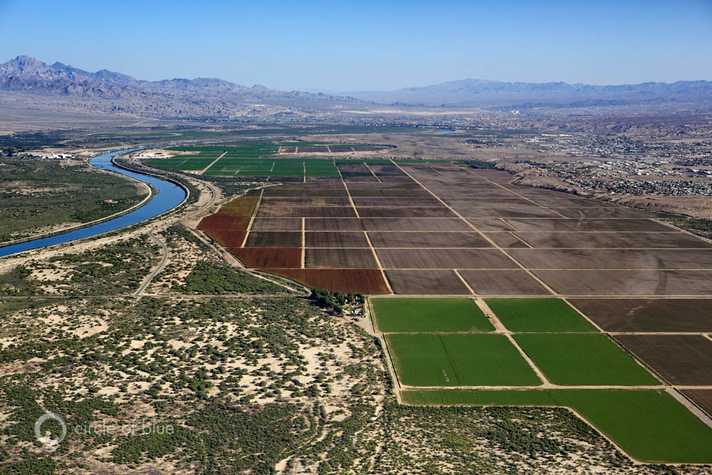 Click to enlarge. Colorado River Basin farm land floodplain agriculture crops irrigation wells mojave desert