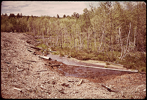 Click to enlarge. Clean Water Act, pollution, Maine, rivers, St. Croix tributary, Project Documerica, EPA, Environmental Protection Agency, Georgia Pacific paper company, paper mill pollution