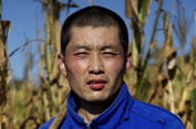 Click to enlarge. Liu De corn harvest Tongliao Inner Mongolia China farm farmer farming
