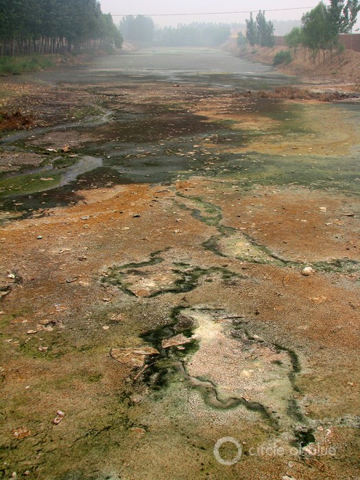 eutrophication Choke Point China Water Pollution agriculture farmers river lake toxic chemical food fertilizer runoff algae irrigation canal