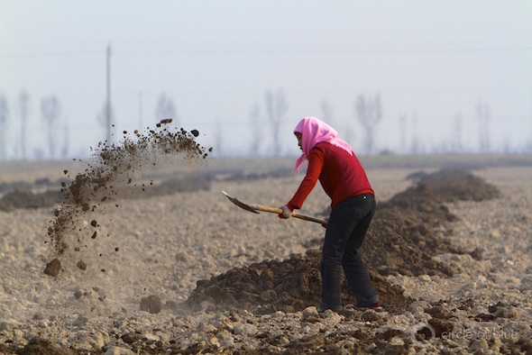 Ningxia province eutrophication Choke Point China Water Pollution agriculture fertilizer runoff algae irrigation canal