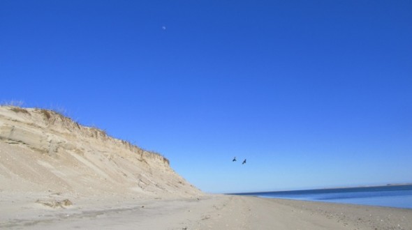 The most beautiful country in the world, the United States, presents spectacular scenes of nature in every state, like the Cape Cod shoreline on Earth Day in Chatham, Mass.