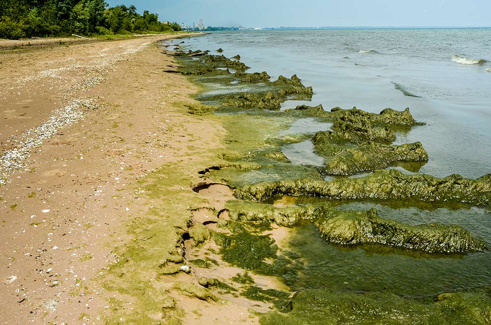 Slideshow Great Lakes Algae Bloom Circle of Blue