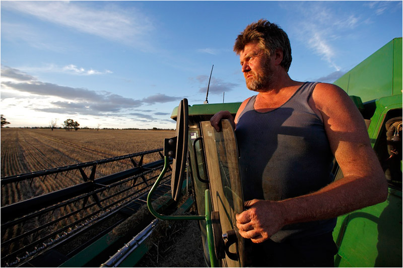 Harvesting withered wheat on a former rice paddy, Gilbert Bain reflects on the prospects of the land he works near Deniliquin, New South Wales. 