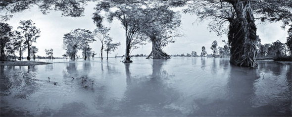 Mekong River Ramsar – Site 999