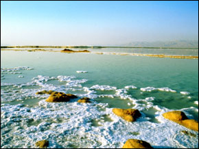 The Dead Sea's Salt Encrusted Shore