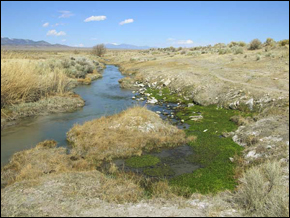 Snake Valley, Utah.  Image courtesy of the Utah Geological Survery