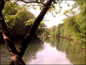 Chattahoochee River Stakeholders Create Organization to Resolve Southern US Water Conflict