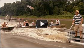 Video: Invasion of the Asian Carp, from the Waterlife Documentary
