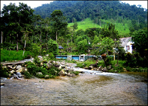 River in Ecuador