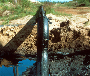 Russia Oil Pipeline Water Pollution Komi Siberia Greenpeace Energy