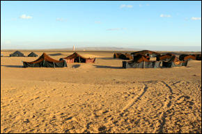 Bedouin camp in the Sahara