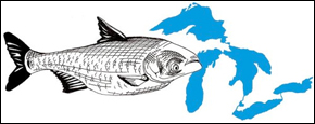 Great Lakes States Sue Federal Government Over Asian Carp Threat