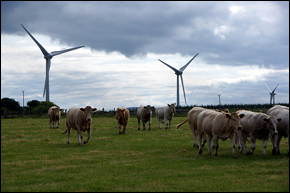 Scotland Renewable Energy