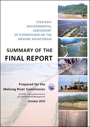 strategic environmental assessment report