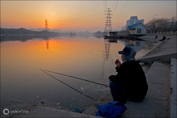 China Water Energy South-North Transfer Project Yellow River Pollution Industry Fish
