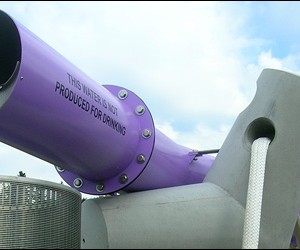 Public Art Purple Pipe