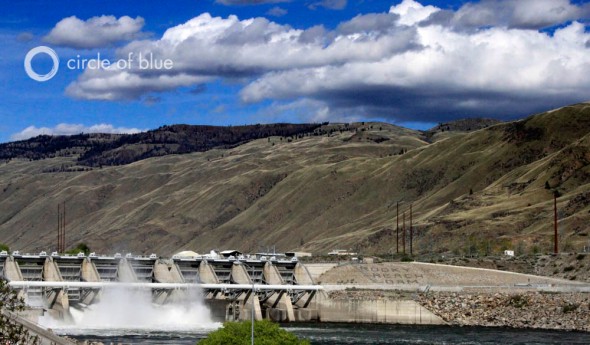 columbia river rocky reach dam spilling water dissolved oxygen fish