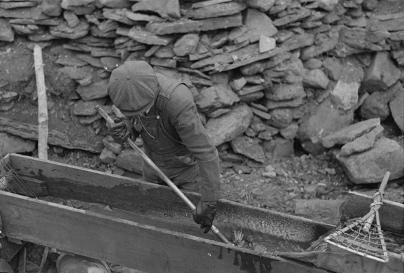 A gold miner working a sluice box in Two Bit Creek, South Dakota, taken in 1938.