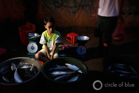 beggar begging for food streets of Manila East Zone selling fish Cuatro school education health water privatization philippines squatter village slum informal community