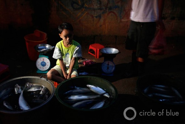 Omar, an 11-year-old who once begged for food on the streets in Manila, now sells fish in the early morning hours. Aid workers say safe water has transformed the Cuatro community. Omar is now able to attend school after the sun rises and the last fish are sold for the day.