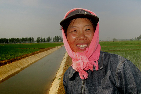 farmer shengyang rice paddy