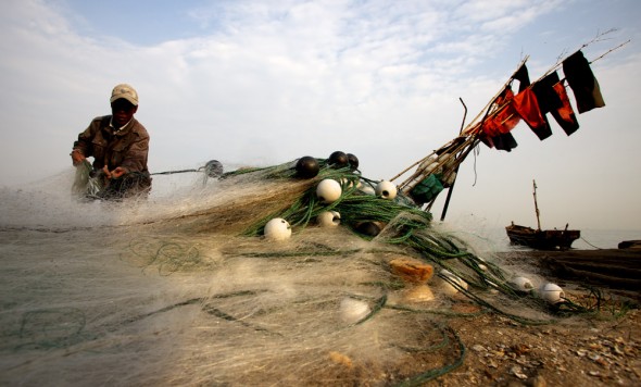 china aquaculture fishing shellfish qingdao shandong scallops clams oysters mussels kelp