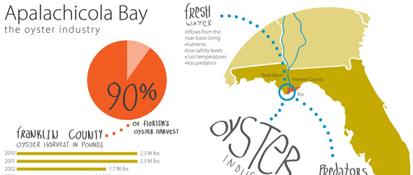 Infographic Apalachicola Bay Oyster industry florida gulf of mexico