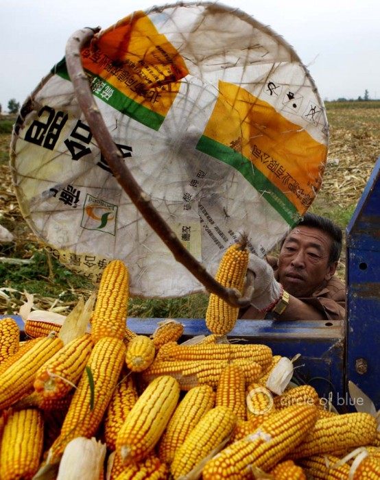 Inner Mongolia China Chinese farmers harvest corn Tongliao