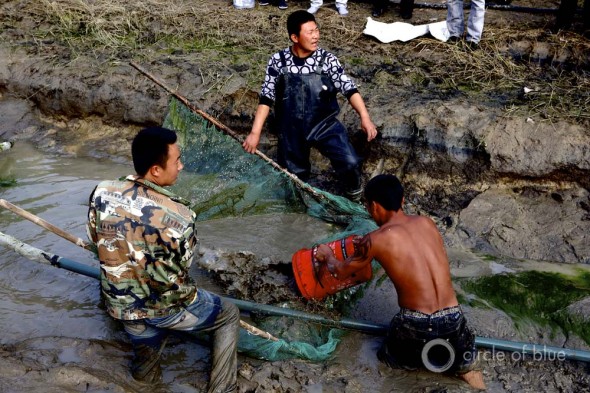 China fishing fish fisherman fishermen draining canal irrigation agriculture food production Liaohe River near Xinmin Liaoning Province