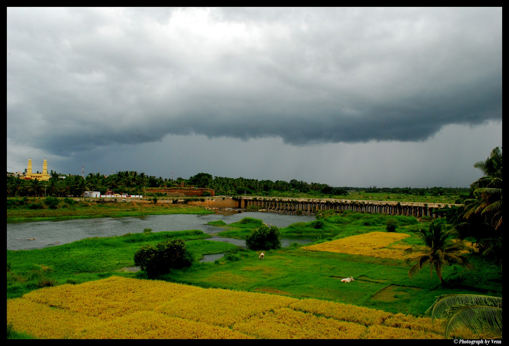 cauvery river, drought, india, water conflict