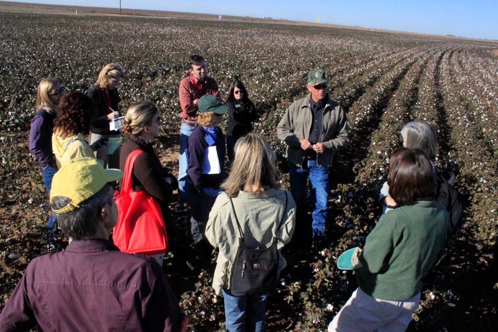 Texas high plains cotton agriculture water management