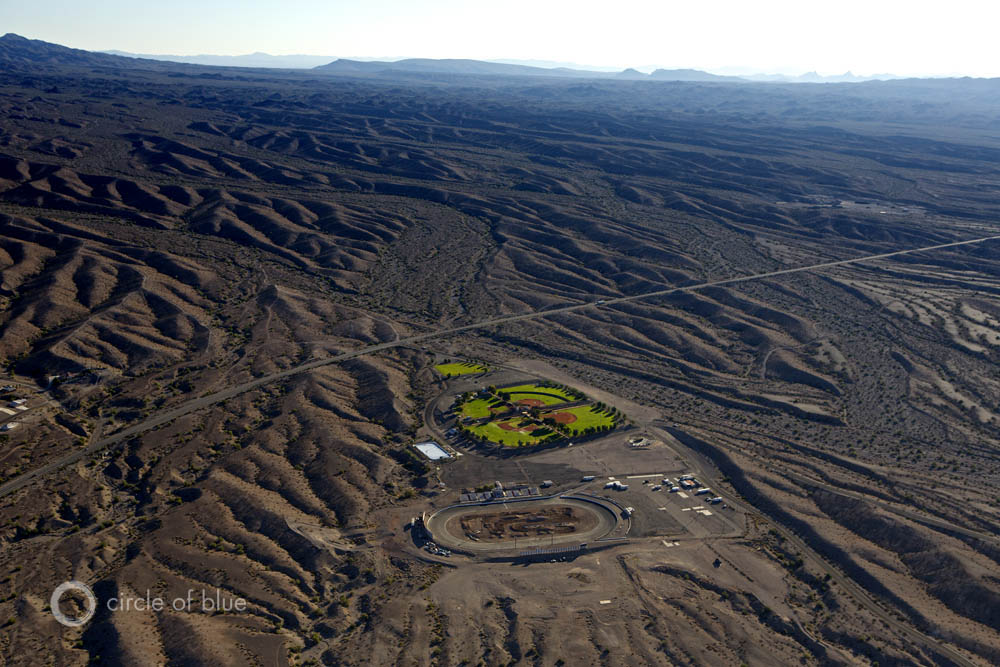 Colorado River Basin baseball diamond in Ballpark Desert Grass irrigation