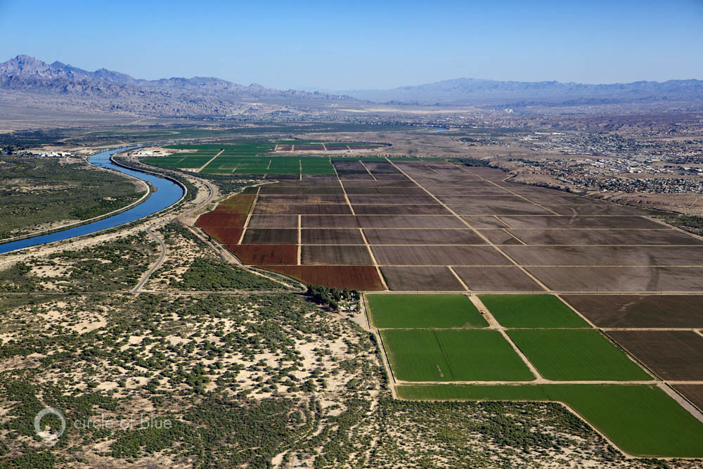 Colorado River Basin farm land floodplain agriculture crops irrigation wells mojave desert