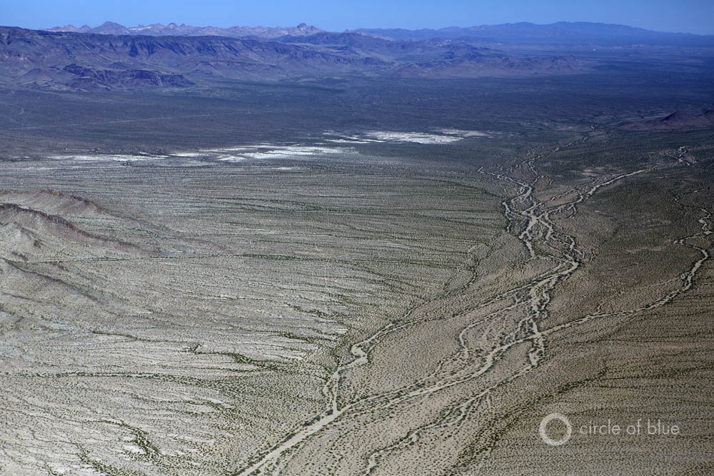 Colorado River Basin Central Mojave Desert