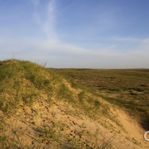 JGanter_grasslands_dune_JG3_2174