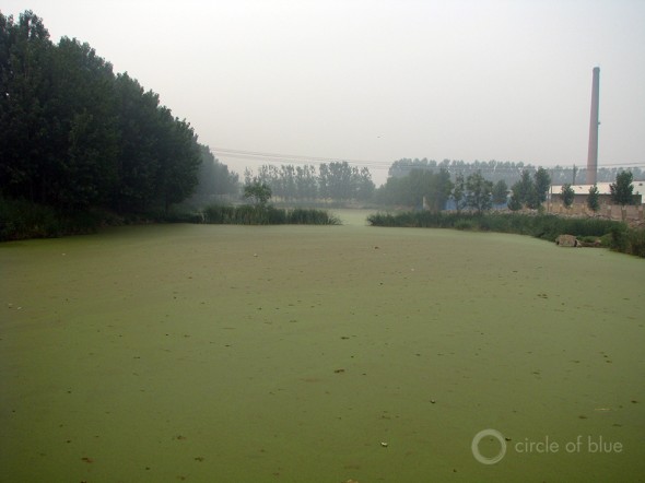 Ningxia province eutrophication Choke Point China Water Pollution agriculture fertilizer runoff algae irrigation canal