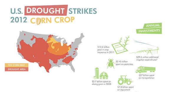 infographic corn crop u.s. united states america drought 2012 food production scarcity