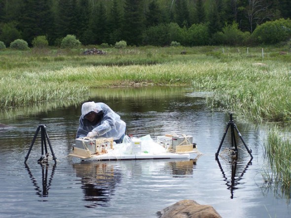 U.S. Geological Survey scientist Jud Harvey is shown sampling the Six-Mile Brook streambed for mercury contamination in Adirondack State Park, New York.