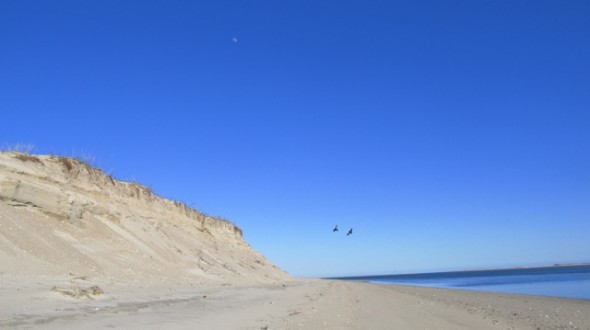 most beautiful country United States US nature Cape Cod shoreline Earth Day Chatham Massachusetts